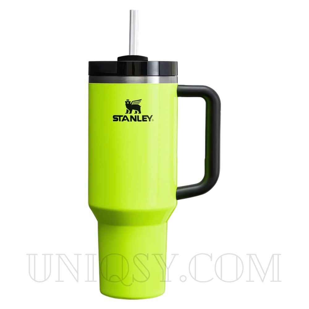 Stanley 40 OZ Tumbler Cup with Handle and Straw