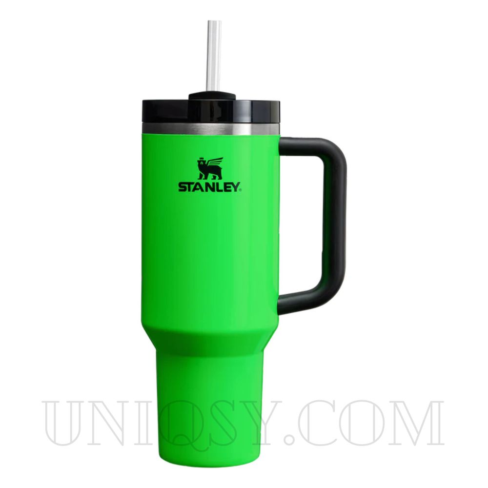 Stanley 40 OZ Tumbler with Handle and Straw Lid - Stainless Steel